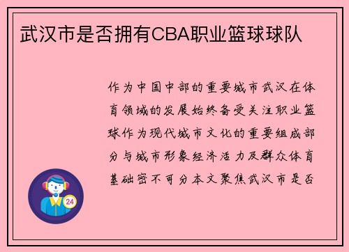 武汉市是否拥有CBA职业篮球球队